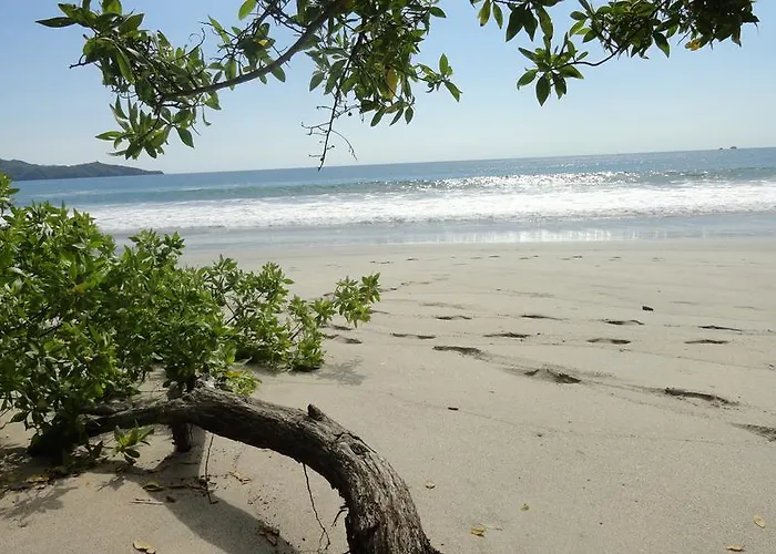 Hotel Colono Beach